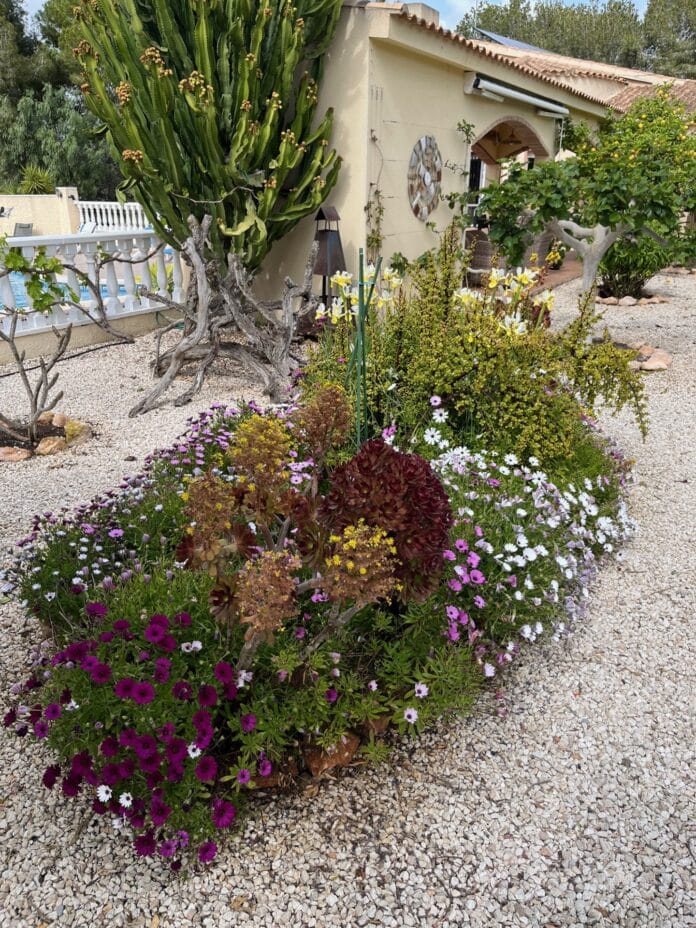 Der Tag der offenen Gärten in Campoverde findet am Samstag, den 24. Mai, wieder statt und gibt jedem die Gelegenheit, einige der interessanten Gärten im Dorf zu besuchen.