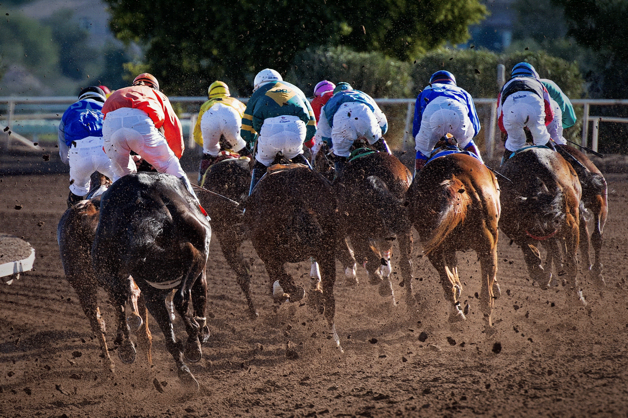 What 5/1 Really Means at the Preakness Stakes in 2025
