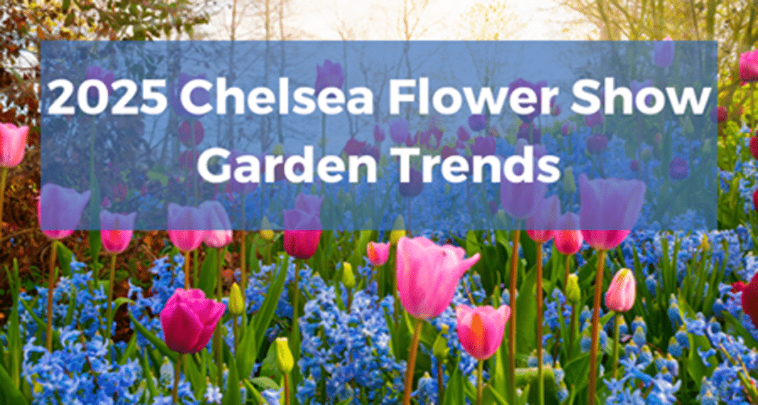 Trendene på Chelsea Flower Show i år er en blanding av å anerkjenne utfordringene med hagearbeid i det 21. århundre, samt å omfavne nye teknologier som kan hjelpe med disse problemene.