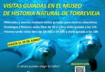 Torrevieja’s Natural History Museum to Open This Sunday on International Museum Day Don’t miss your chance to visit—the museum will close again for renovations after June.