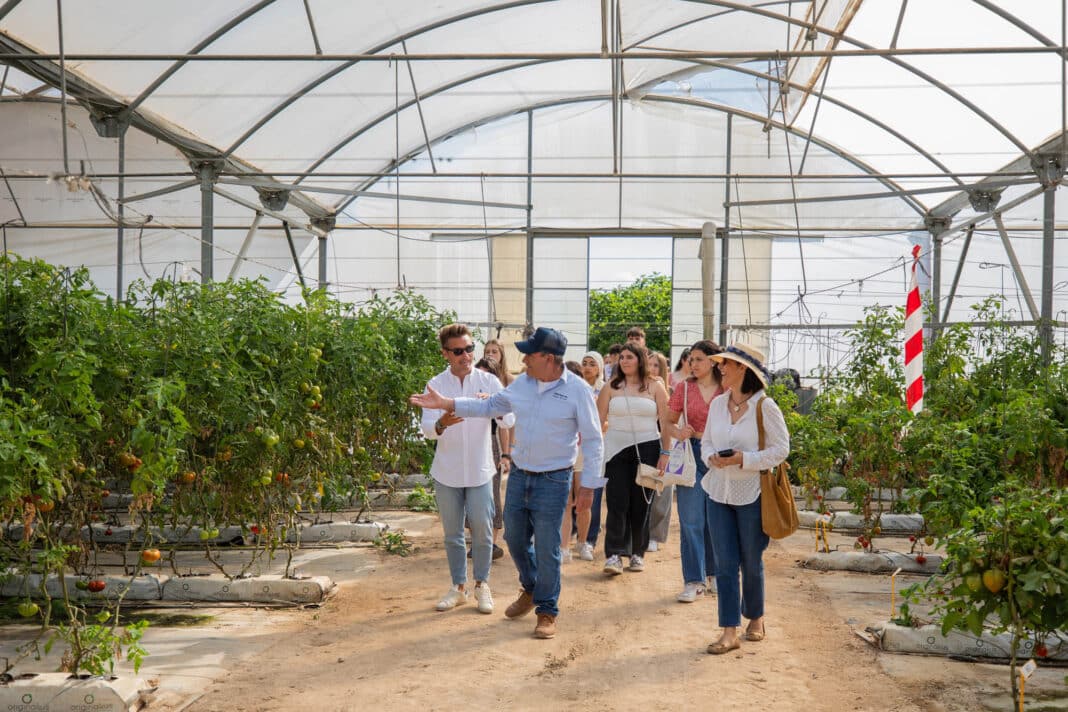 Le 13 mai, un groupe de plus de cinquante étudiants d'Espagne et de Slovénie a visité la ferme agricole des Hoteles Servigroup, Finca El Clot, à Villajoyosa