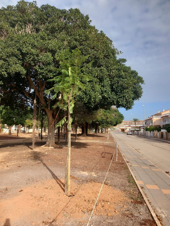 Pilar de la Horadada, que cubre 78 kilómetros cuadrados, cuenta con más de 21,000 árboles que representan 70 especies diferentes