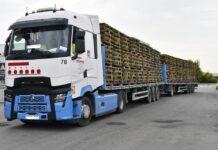 Nye gangstier i tre gitt til strendene i Vega Baja av Generalitat Totalt er det anlagt 19,800 XNUMX lineære meter med stive, behandlede gangveier i tre.