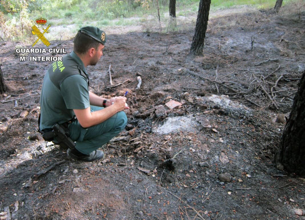 Suite à une enquête menée par l'unité environnementale du SEPRONA et les brigades forestières, l'origine de l'incendie a été attribuée aux braises d'un barbecue laissé dans une zone boisée.