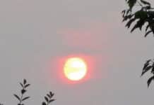 Rauch von entfernten Waldbränden alarmiert Bewohner in Vega Baja und Murcia Der intensive Brandgeruch und die sich verschlechternde Luftqualität, die bereits in den frühen Morgenstunden in mehreren Gemeinden spürbar waren, ließen viele einen Brand in der Nähe befürchten.