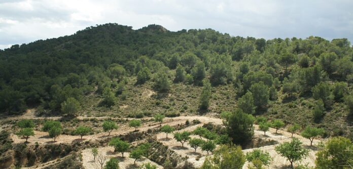 Die Umweltgruppe „Friends of Sierra Escalona“ hat unter Berufung auf schwerwiegende Umwelt- und Sicherheitsbedenken offiziell Einspruch gegen einen geplanten Touristencampingplatz im Naturschutzgebiet Sierra Escalona erhoben.