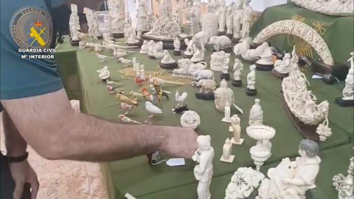 Der Schaden für die Tierwelt wird auf 14 Millionen Euro geschätzt, der kommerzielle Wert liegt bei 226,630 Euro.