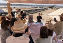 Convega lanceert publieke campagne om toerisme in Vega Baja vorm te geven Het Consortium voor Economische Ontwikkeling van Vega Baja del Segura (Convega) is een participatieproces gestart als onderdeel van zijn plan voor de heropleving van het toerisme.