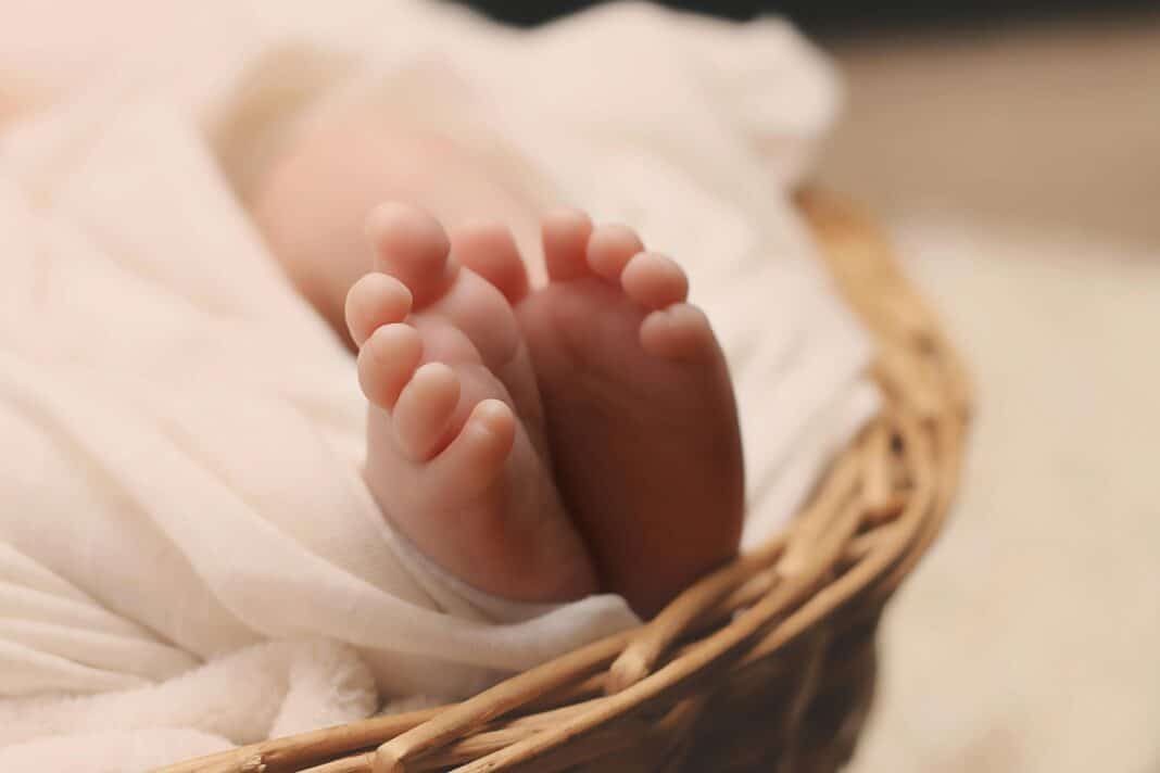The Torrevieja City Council has approved a new budget measure that will grant 450 euros for each birth or adoption, applicable to cases from 2024.