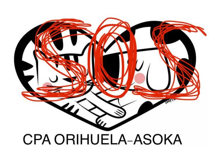 Organizacja potwierdziła również, że dziewięciu jej pracowników nie otrzymało wynagrodzenia od trzech miesięcy, a kliniki weterynaryjne świadczące podstawowe usługi nadal nie otrzymują wynagrodzenia, pomimo ich „wyrozumiałości, zaangażowania i cierpliwości”.