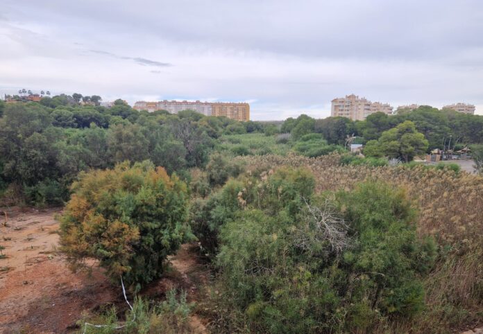 20241113_130634 De overeenkomst van vier jaar tussen de raad en de CHS voorziet in € 480,000 van Orihuela en € 320,000 van de CHS voor het herstel van stedelijke kanalen.