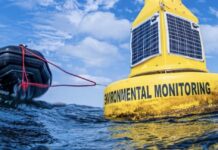 Wildlife Flees Southern Mar Menor as Oxygen Levels Plummet Alarm bells are ringing around the Mar Menor once again, as marine life increasingly leaves the southern section of the lagoon due to dangerously low oxygen levels.