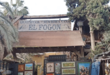 Bunt na rynku: Słynny pchli targ N-332 w Guardamar sprzeciwia się zarządzeniu burmistrza o zamknięciu Właściciele uważają, że deweloperzy stojący za tym megaplanem naciskają na ratusz, aby oczyścił teren. „Nigdy się z nami nie kontaktowali” – mówi rodzina. „Chcemy tylko poznać ich plany – i utrzymać rynek, który płaci podatki i daje zatrudnienie lokalnym mieszkańcom”.