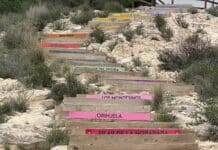 Benejúzar unit les villes de Vega Baja avec un nouvel escalier commémoratif Le maire Vicente Cases a déclaré que les escaliers « unissent symboliquement la comarque depuis son cœur, nous rappelant que chaque ville a sa propre identité mais partage une histoire et un avenir communs. »