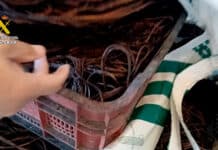 Copper Thieves Busted by Guardia in Alicante and Albacete The Guardia Civil and local police caught two suspects red-handed trying to sell copper just hours after stealing it.