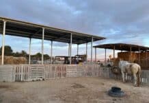 Rod Weeding Builds Second Hay Barn to Support Expanding Rescue Work The Easy Horse Care Rescue Centre runs entirely on donations, volunteer work and the efforts of Rod and Susan, who have dedicated nearly two decades to rescuing animals from neglect, abandonment and abuse.