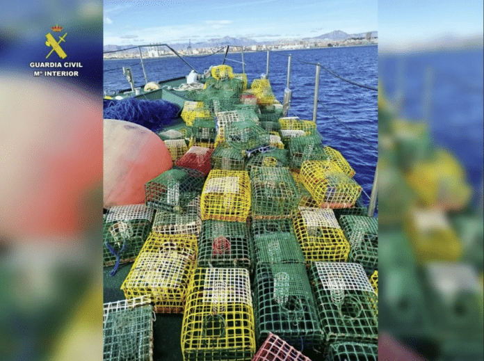 In totaal hebben agenten van de maritieme dienst van de Guardia Civil in Alicante 109 vallen opgegraven die illegaal waren geplaatst op ongeveer twee zeemijl van Torre de la Horadada, een kustdistrict van Pilar de la Horadada.