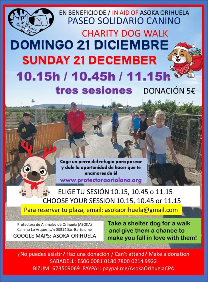 L'organizzazione per il benessere degli animali ospiterà un'edizione speciale di Natale questa domenica, 21 dicembre, con tre sessioni aperte al pubblico.