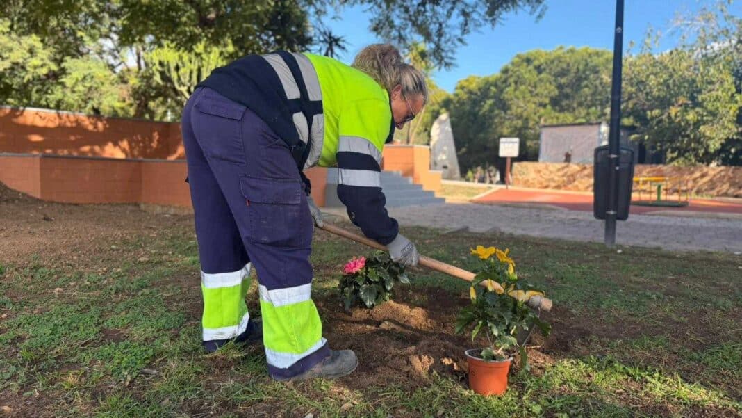 Le département des parcs et jardins a mené à bien un projet d'entretien et d'embellissement complet de l'espace vert de l'Avenida Pinoso, dans le quartier d'Acequión.
