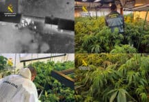 “High-tech weed lab busted in Torre Pacheco: 1,500 Plants Seized!” During the raid, about 50 Guardia Civil officers dismantled the entire setup, including the grow lights, heating, irrigation, ventilation systems, and even the vehicle used to transport the drugs.