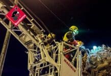 Palm Tree Collapse in Orihuela Highlights Neglected Maintenance Contract The tree, approximately five meters tall, was removed before it could fall onto the road. Fortunately, no injuries or property damage occurred.