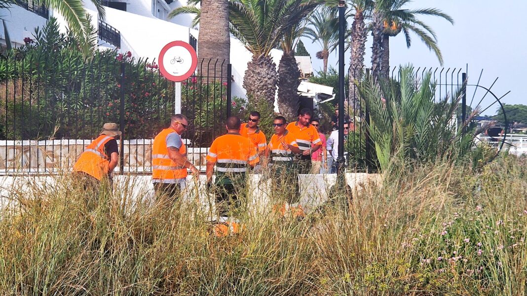 Юридичний оскаржник зосереджувався на затвердженому муніципальному проекті створення пішохідної зони довжиною приблизно 30 метрів для з'єднання двох існуючих набережних, ділянка якої зараз відкрита для громадськості.