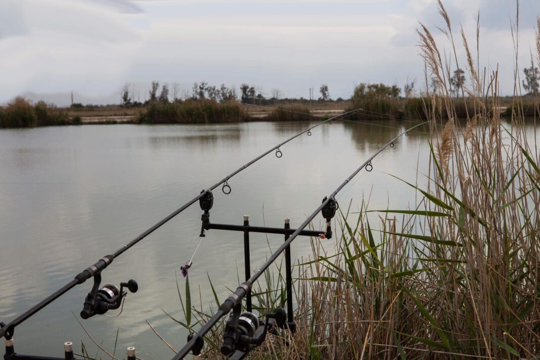 The competition was held at the only ‘commercial style’ fishery of El Bosquet, just outside the village of San Felipe Neri (close to Catral).