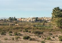 Running From UK Life Sentence – British Sex Attacker Caught In San Fulgencio Residential area next to the traditional orchard where the British fugitive was hiding