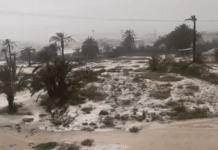 Snøvarsel for Alicante-provinsen når stormen «Francis» nærmer seg Fra denne lørdagen vil Alicante-provinsen oppleve et plutselig skifte i forholdene, med regn, et merkbart temperaturfall og mulighet for snø på steder der det vanligvis er sjeldent.