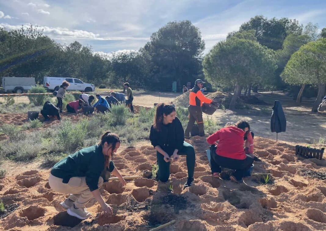 Pilar de la Horadada celebrated Tree Day in Pinar de Campoverde at an event jointly organised by the Municipal Department of the Environment of the Pilar de la Horadada Town Council and the Sierra Escalona Protected Landscape.