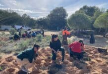 Pilar de la Horadada Celebrates Tree Day in Pinar de Campoverde Pilar de la Horadada celebrated Tree Day in Pinar de Campoverde at an event jointly organised by the Municipal Department of the Environment of the Pilar de la Horadada Town Council and the Sierra Escalona Protected Landscape.