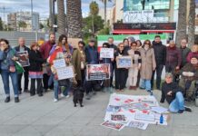 В Торревьехе проходят митинги в защиту прав человека в Иране. В прошлое воскресенье десятки жителей и групп солидарности вышли на улицы в рамках мирной акции протеста против продолжающегося насилия в Иране, выразив поддержку жертвам и их семьям.