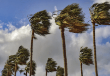 Orihuela wstrzymuje wszystkie zajęcia na świeżym powietrzu z powodu zbliżającego się silnego wiatru Rada Miasta Orihuela nakazała zawieszenie wszystkich zajęć na świeżym powietrzu na terenie gminy w piątek i sobotę (13–14 lutego) po wydaniu żółtego alertu pogodowego z powodu silnych wiatrów i warunków brzegowych.