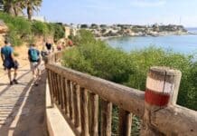 The best hiking trail in the Valencian Community is in the Vega Baja The reopening of the Aguamarina Walkway—an initiative strongly championed by The Leader newspaper—has proven instrumental in the environmental, scenic, and heritage success of the Mediterranean Trail (GR-92) as it passes through the Vega Baja region.