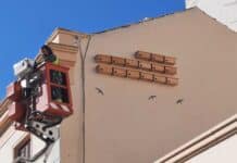 Nature Takes the Lead in Torrevieja’s Pest Control Strategy The council has installed 30 new nesting boxes for swifts, with 15 placed on the side of the former Town Hall building and a further 15 at CEIP Inmaculada Concepción.