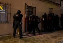 Guardia Civil Busts Massive Marijuana Grow in Torremendo The operation, launched in January following tips from San Miguel de Salinas, saw the Torrevieja ROCA team conduct undercover surveillance of the property.