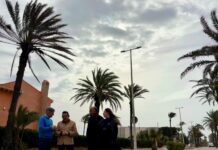Neue Straßenbeleuchtung für die Avenida del Cabo in Cabo Roig Die Baustelle wurde am Freitagmorgen von Orihuelas Bürgermeister Pepe Vegara, dem Infrastruktur-Stadtrat Víctor Valverde, dem Küsten-Stadtrat Manuel Mestre und der stellvertretenden Bürgermeisterin von Cabo Roig, Melissa Sian, besichtigt.