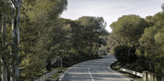 Traktorfahrer in San Miguel tödlich verletzt, nachdem Lieferwagen in Fahrzeug gekracht war Der tödliche Unfall ereignete sich am Freitag gegen 7.30 Uhr auf der CV-941, der Straße, die das Stadtzentrum von San Miguel mit Campoamor an der Orihuela Costa verbindet.