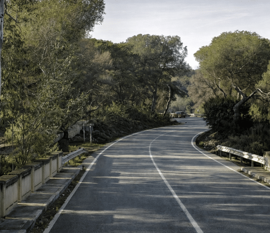 Traktorfahrer in San Miguel tödlich verletzt, nachdem Lieferwagen in Fahrzeug gekracht war Der tödliche Unfall ereignete sich am Freitag gegen 7.30 Uhr auf der CV-941, der Straße, die das Stadtzentrum von San Miguel mit Campoamor an der Orihuela Costa verbindet.