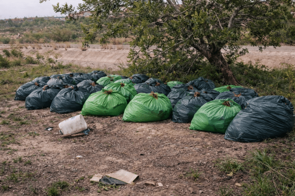 POLICE PROBE HUGE CANNABIS WASTE DUMP IN SAN MIGUEL DE SALINAS