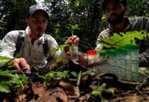 Spanish botanist behind record-breaking vertical gardens takes his method worldwide Spanish botanist and landscape specialist Ignacio Solano, whose work has transformed more than 900,000 square metres into living vertical green systems, is taking his patented method on an international training tour across Spain and Latin America in 2026.