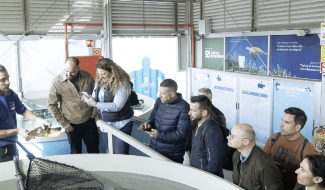 La Policía Local de Torrevieja intensifica sus esfuerzos para proteger la fauna marina. Un equipo de agentes asistió recientemente a una jornada práctica en la Fundación Oceanogràfic de Valencia, donde aprendió a gestionar de forma segura y eficaz animales marinos varados o heridos.