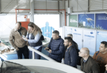 Torrevieja Police Training to Protect Stranded Marine Animals Torrevieja’s Local Police are stepping up their efforts to protect marine wildlife. A team of officers recently attended a hands-on training day at the Oceanogràfic Foundation in Valencia, learning how to handle stranded or injured sea animals safely and efficiently.