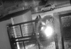 Siatka złodziei skuterów rozbita po policyjnej przeszukaniu San Javier i Los Alcázares Gang przestępczy oskarżony o terroryzowanie ulic wokół Mar Menor został rozbity przez Gwardię Cywilną po fali napadów, których celem byli właściciele hulajnóg elektrycznych i niczego niepodejrzewający ofiar.