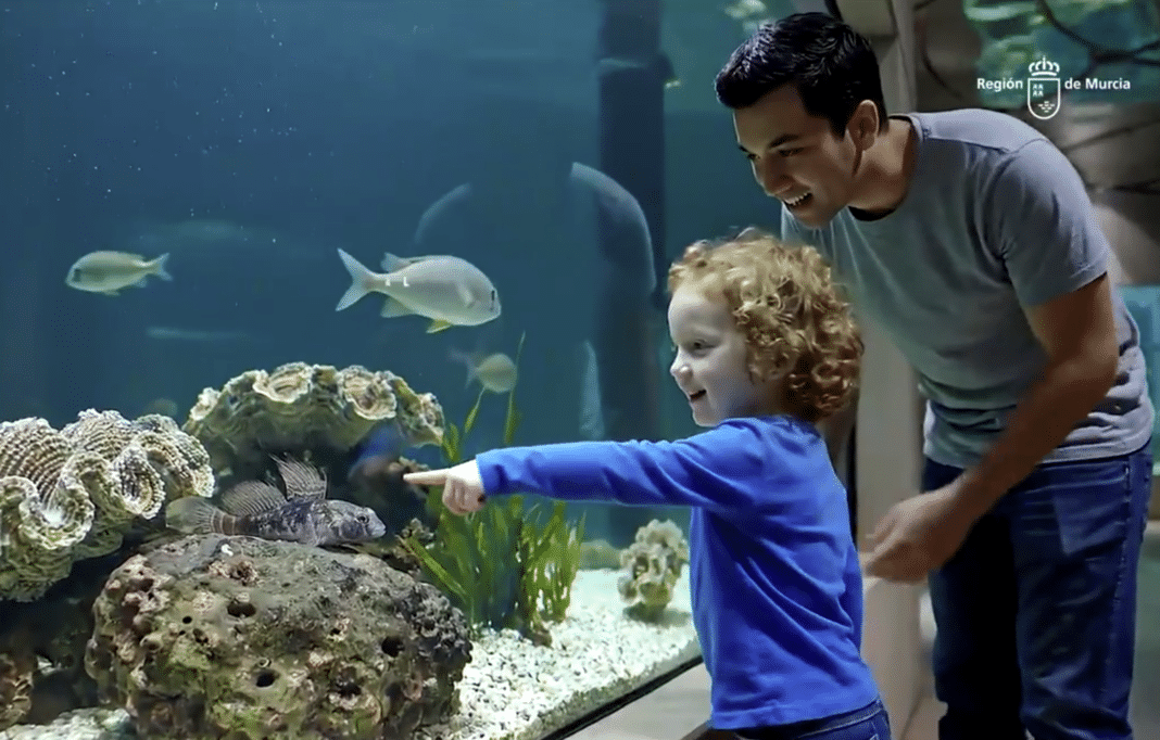 The Region of Murcia has unveiled plans for the Mar Menor Species Conservation and Recovery Center (OM²), a cutting-edge scientific facility aimed at restoring and protecting the lagoon’s fragile ecosystem.