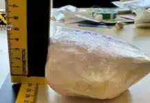 Family cocaine clan busted in Dolores after granny dropped grandson at school A family-run drug ring in Dolores has been smashed after police say its alleged ringleader kicked off her cocaine deals only after dropping her grandson at school.
