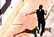 Torrevieja Man Arrested After Killing Ex-Partner’s Cat in Street Attack A man has been arrested by local police in Torrevieja after allegedly beating his ex-partner’s cat to death in a shocking incident that unfolded in broad daylight on a residential street.