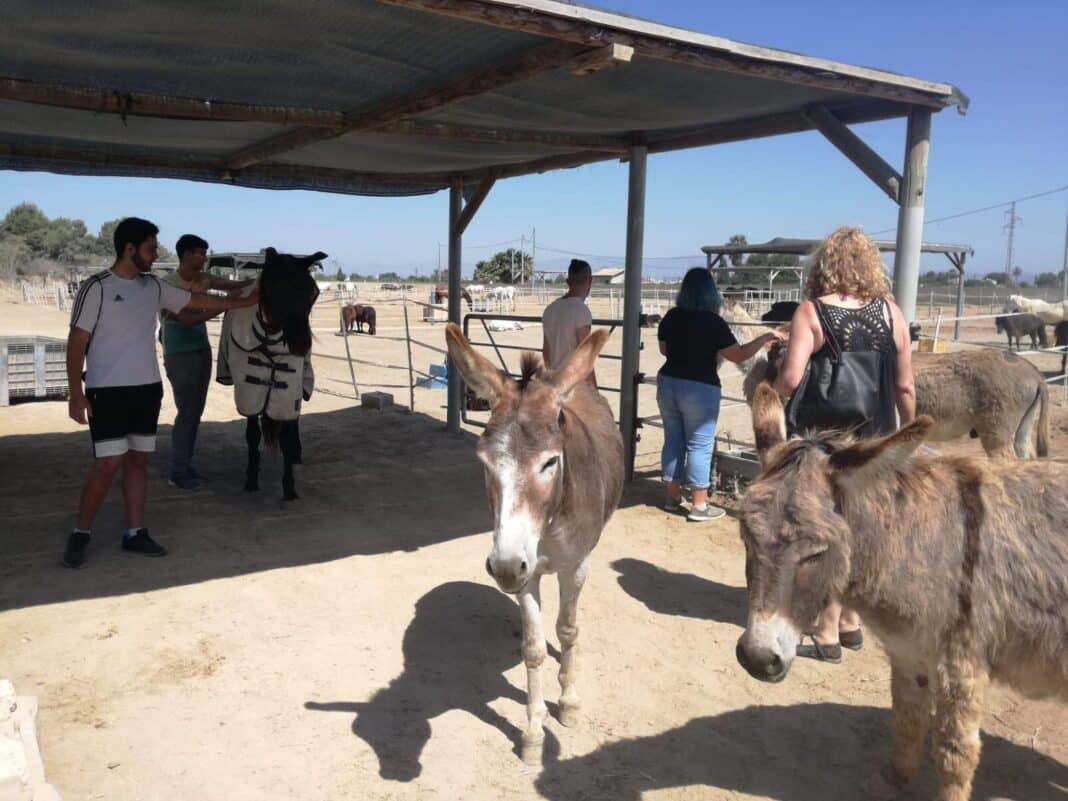 During the visit, the group witnessed the tireless efforts of staff and volunteers who work daily to provide a safe and supportive environment for a wide range of animals—not only horses, but also other rescued species housed at the centre.
