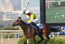 Horse racing in India is boosting the sports betting industry The most talked-about and prestigious races in the Indian racing calendar are collectively known as the “Classics.” They include the Indian Derby, Indian 1,000, and Bangalore Derby. These are the races that attract the most attention from fans, the media, and bookmakers.