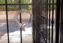 Suspect Arrested in Fatal Torrevieja Shooting as Manhunt for Gunman Continues Investigators believe the shooter was lying in wait for the victim. The assailant reportedly fired up to six rounds from the street through the building’s glass entrance door.